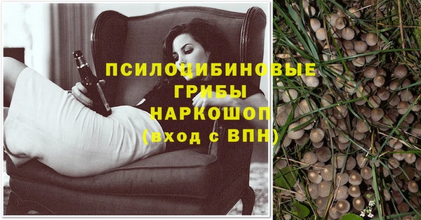 меф Гусев