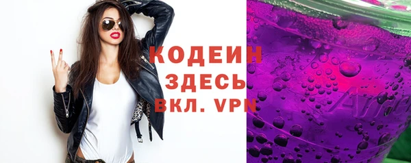 индика Тында