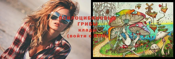 стафф Горнозаводск
