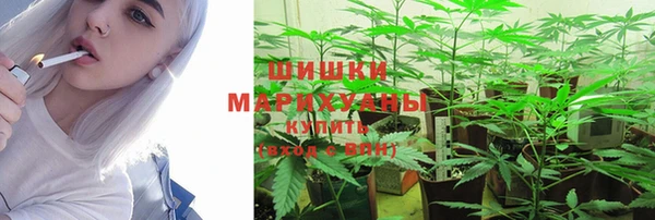 спиды Горно-Алтайск